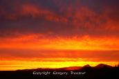PICT0359.jpg