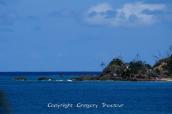PICT0526.jpg