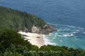 PICT9654.JPG
