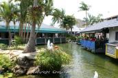 PICT0706.JPG