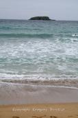 PICT0255.jpg