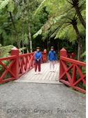 SDC11073.JPG