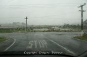 PICT0768.jpg
