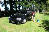 PICT1595.jpg