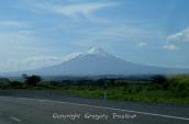 PICT9173.jpg
