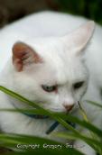 PICT0269.JPG