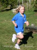 Cross Country Whakamarama