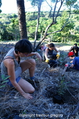 PICT5703.jpg