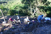 PICT5704.jpg