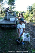 PICT5708.jpg