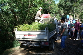 PICT5767.jpg